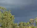 Storm light, Cunningham's Gap P1070999